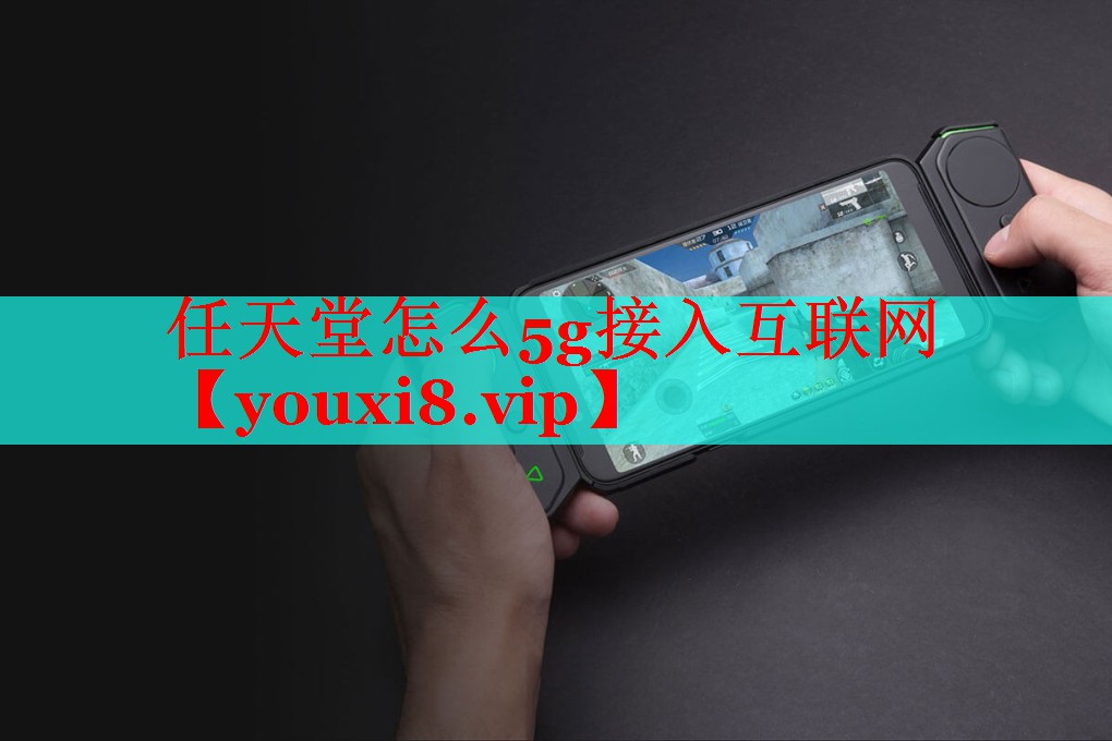 任天堂怎么5g接入互聯(lián)網(wǎng)