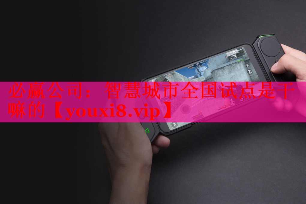 必贏公司：智慧城市全國(guó)試點(diǎn)是干嘛的