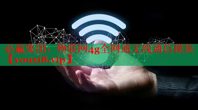 必贏集團(tuán)：物聯(lián)網(wǎng)4g全網(wǎng)通無線通信模塊