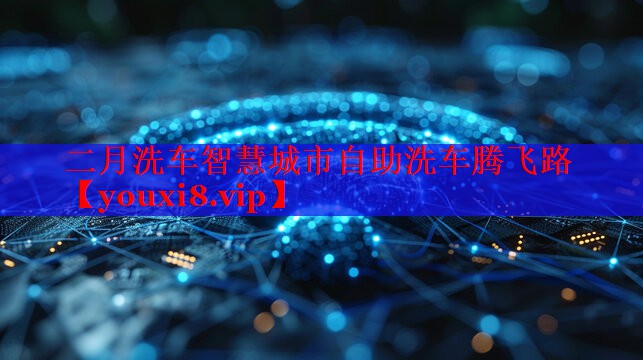 二月洗車智慧城市自助洗車騰飛路