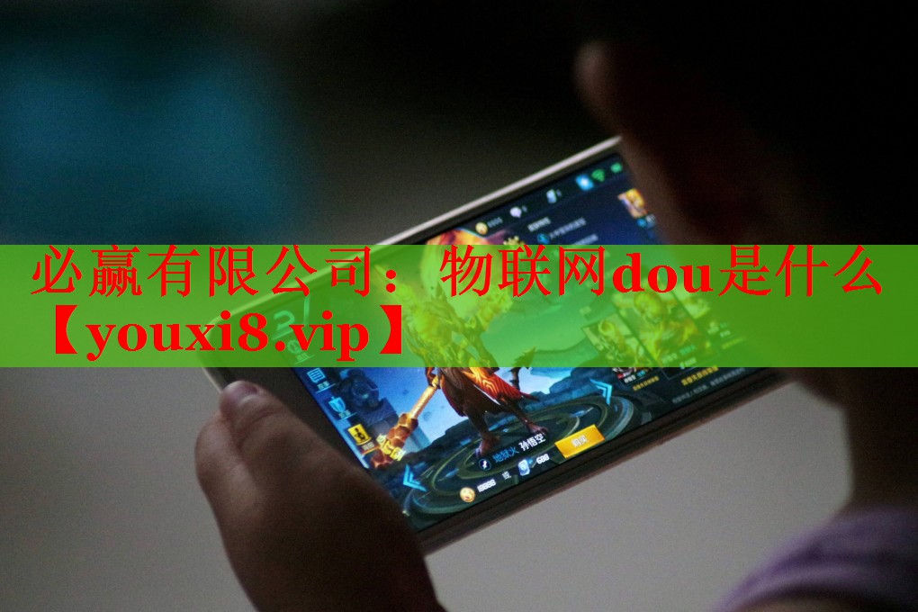 必贏有限公司：物聯(lián)網(wǎng)dou是什么