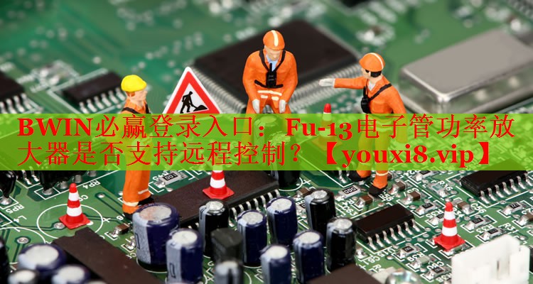 BWIN必贏登錄入口：Fu-13電子管功率放大器是否支持遠(yuǎn)程控制？