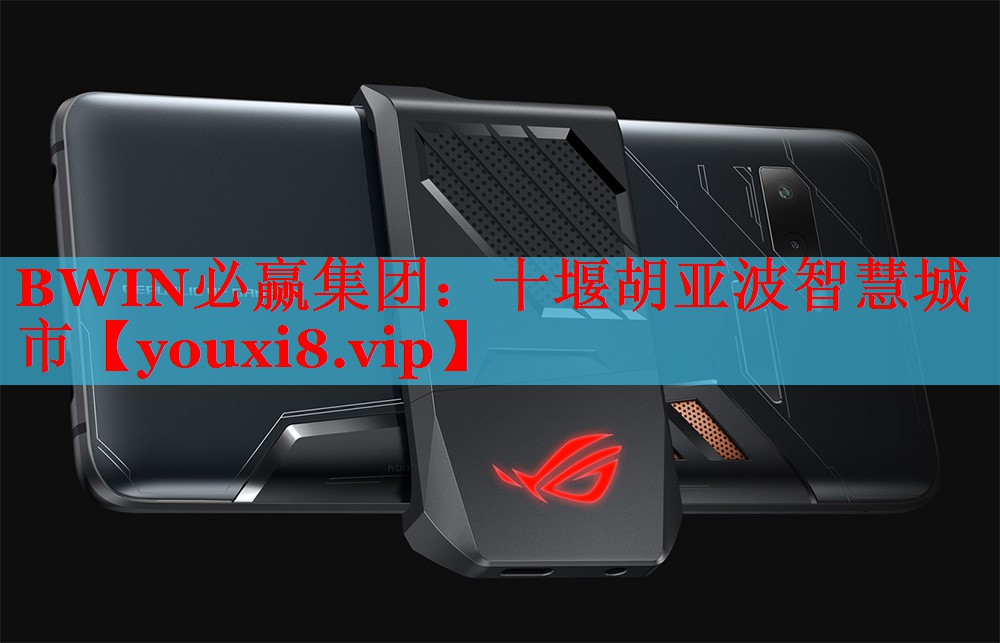 BWIN必贏集團：十堰胡亞波智慧城市