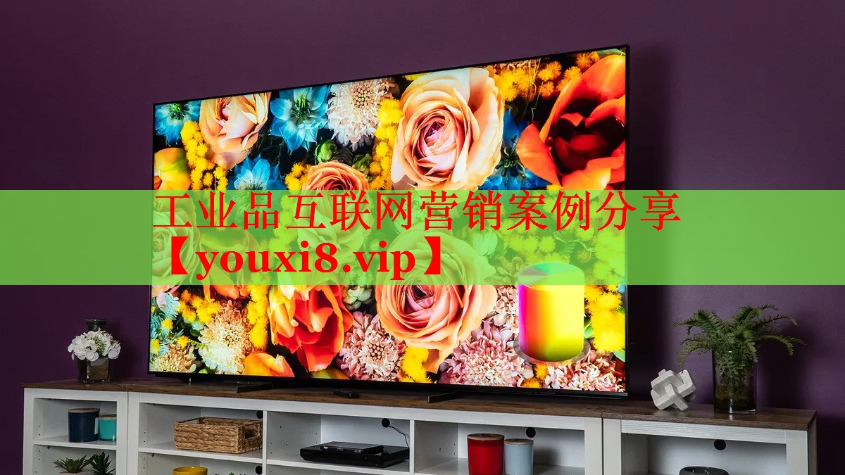 工業(yè)品互聯(lián)網(wǎng)營銷案例分享
