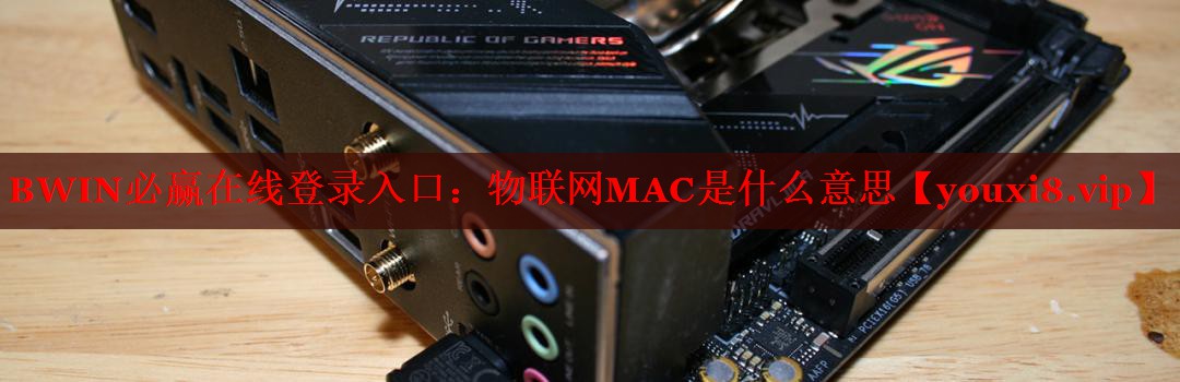 BWIN必贏在線登錄入口：物聯(lián)網(wǎng)MAC是什么意思