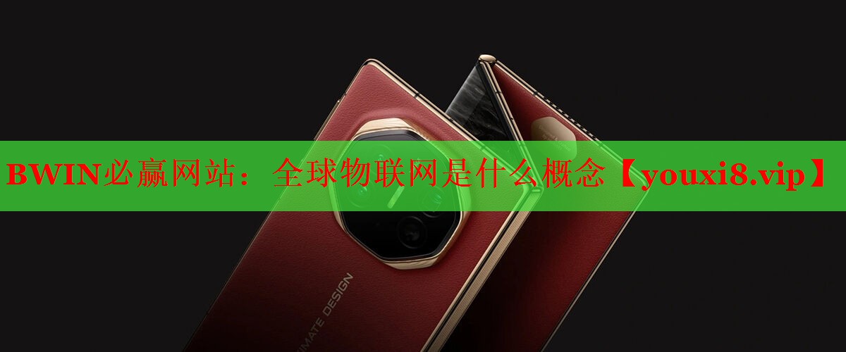 BWIN必贏網(wǎng)站：全球物聯(lián)網(wǎng)是什么概念