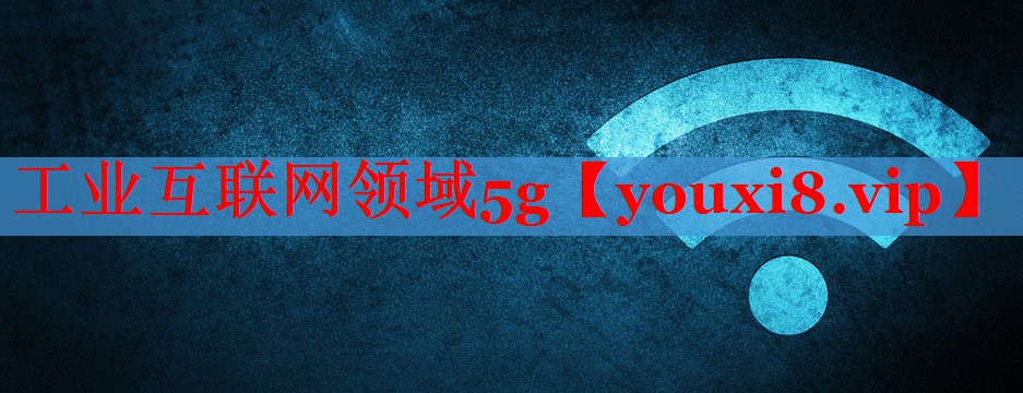 工業(yè)互聯(lián)網(wǎng)領(lǐng)域5g