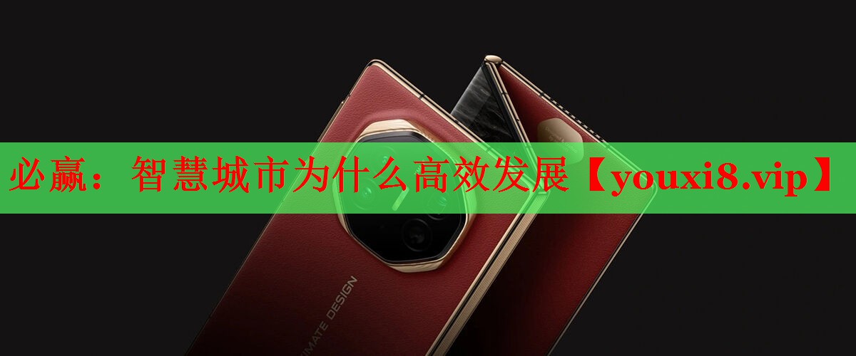必贏：智慧城市為什么高效發(fā)展