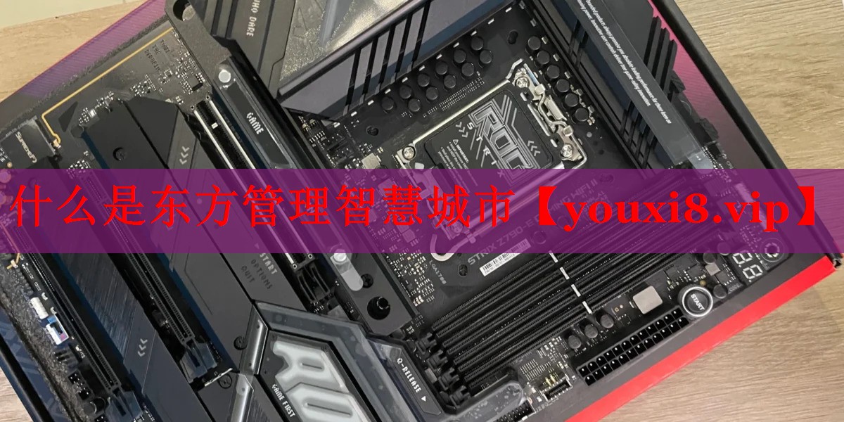 什么是東方管理智慧城市