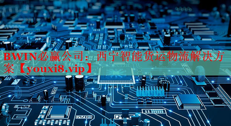 BWIN必贏公司：西寧智能貨運(yùn)物流解決方案