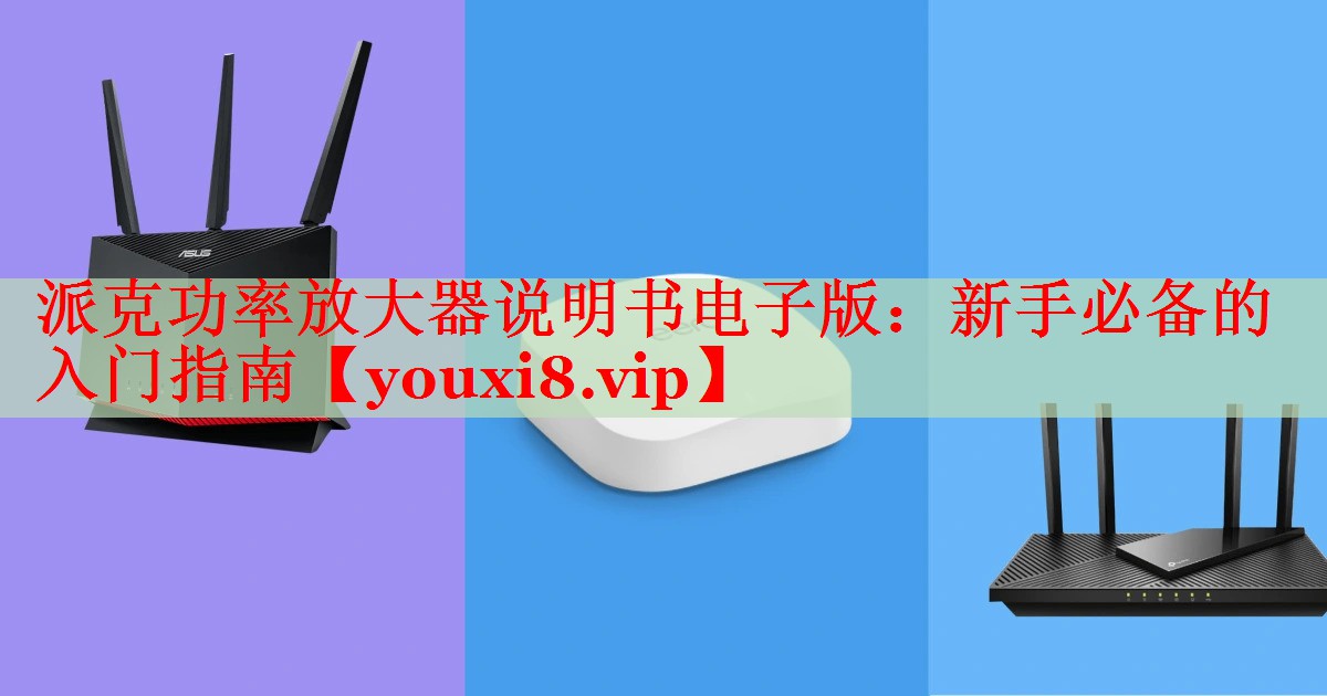 派克功率放大器說明書電子版：新手必備的入門指南
