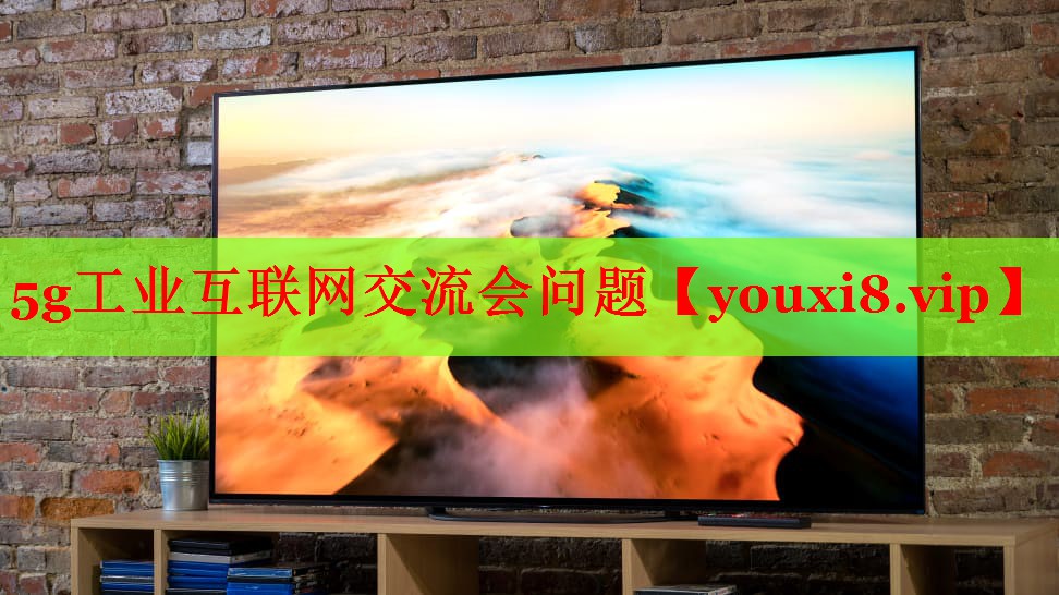 5g工業(yè)互聯(lián)網(wǎng)交流會(huì)問(wèn)題