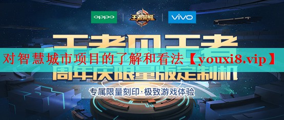 對(duì)智慧城市項(xiàng)目的了解和看法