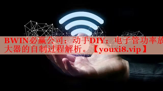 BWIN必贏公司：動(dòng)手DIY：電子管功率放大器的自制過程解析。