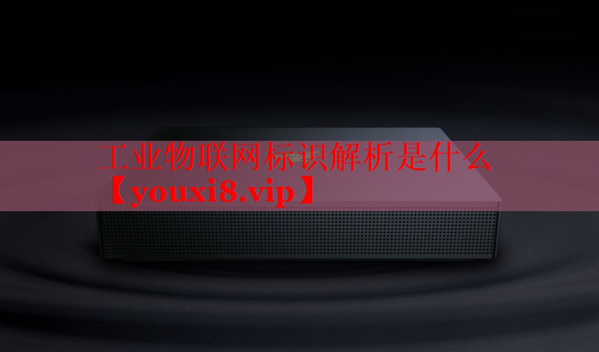 工業(yè)物聯(lián)網標識解析是什么