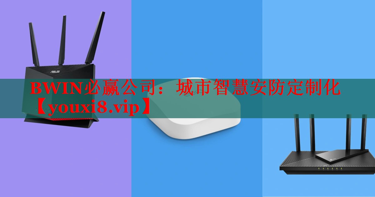 BWIN必贏公司：城市智慧安防定制化