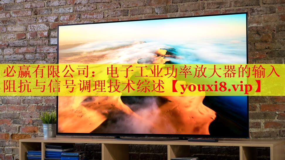 必贏有限公司：電子工業(yè)功率放大器的輸入阻抗與信號調(diào)理技術(shù)綜述