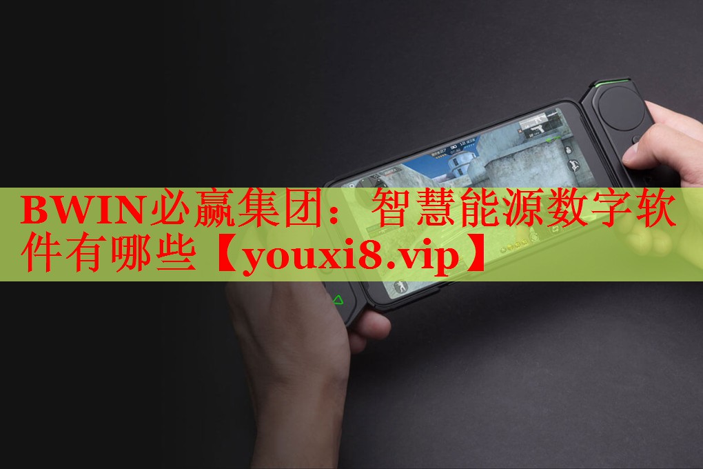 BWIN必贏(yíng)集團(tuán)：智慧能源數(shù)字軟件有哪些