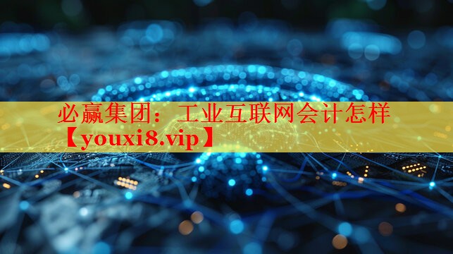必贏集團(tuán)：工業(yè)互聯(lián)網(wǎng)會計怎樣