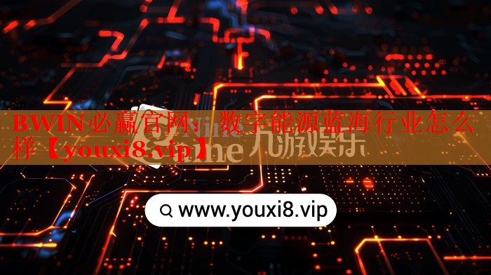 BWIN必贏官網(wǎng)：數(shù)字能源藍(lán)海行業(yè)怎么樣