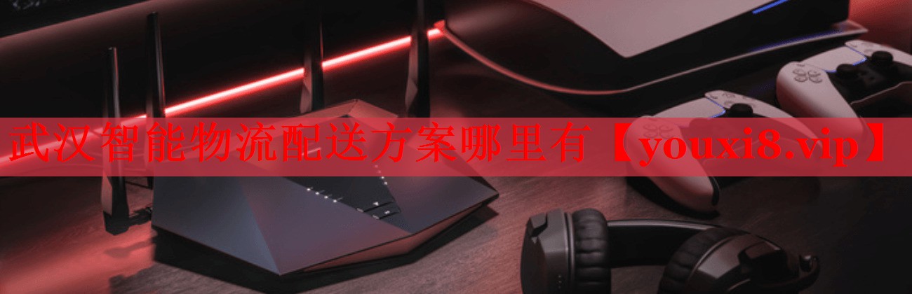 武漢智能物流配送方案哪里有