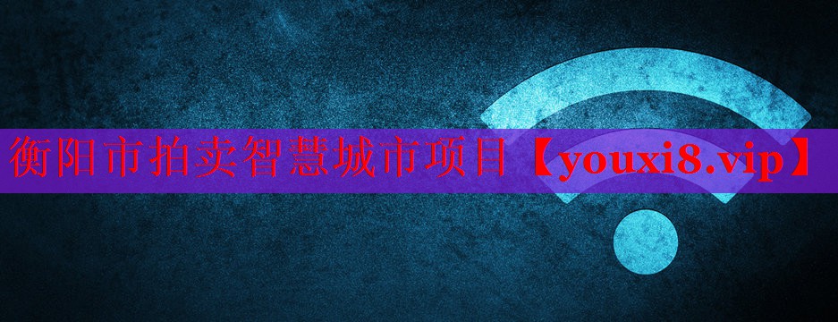 衡陽市拍賣智慧城市項目