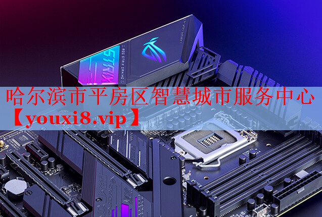 哈爾濱市平房區(qū)智慧城市服務中心