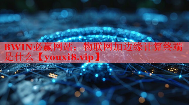 BWIN必贏網(wǎng)站：物聯(lián)網(wǎng)加邊緣計(jì)算終端是什么