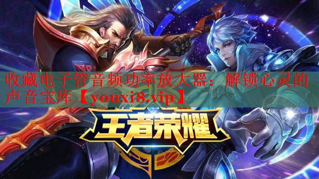 收藏電子管音頻功率放大器：解鎖心靈的聲音寶庫