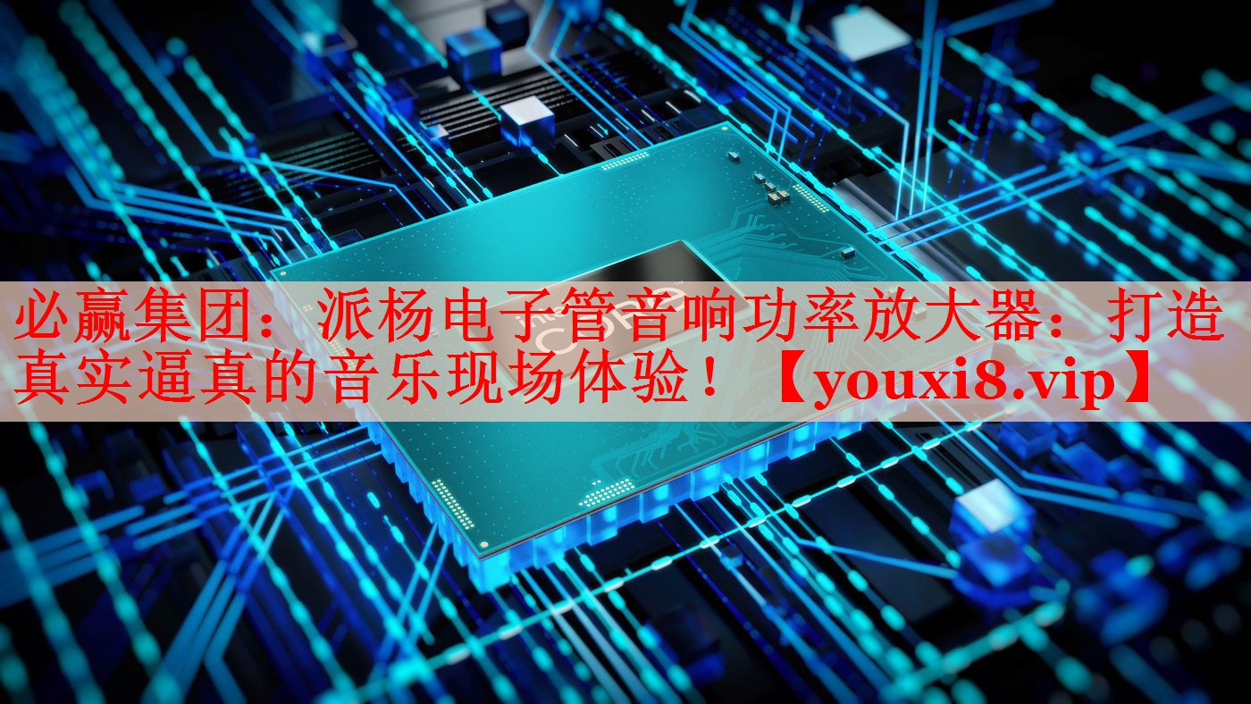 必贏集團(tuán)：派楊電子管音響功率放大器：打造真實(shí)逼真的音樂(lè)現(xiàn)場(chǎng)體驗(yàn)！