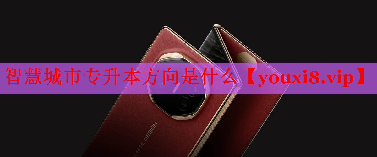 智慧城市專升本方向是什么