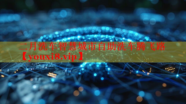二月洗車智慧城市自助洗車騰飛路 二月洗車智慧城市自助洗車騰飛路