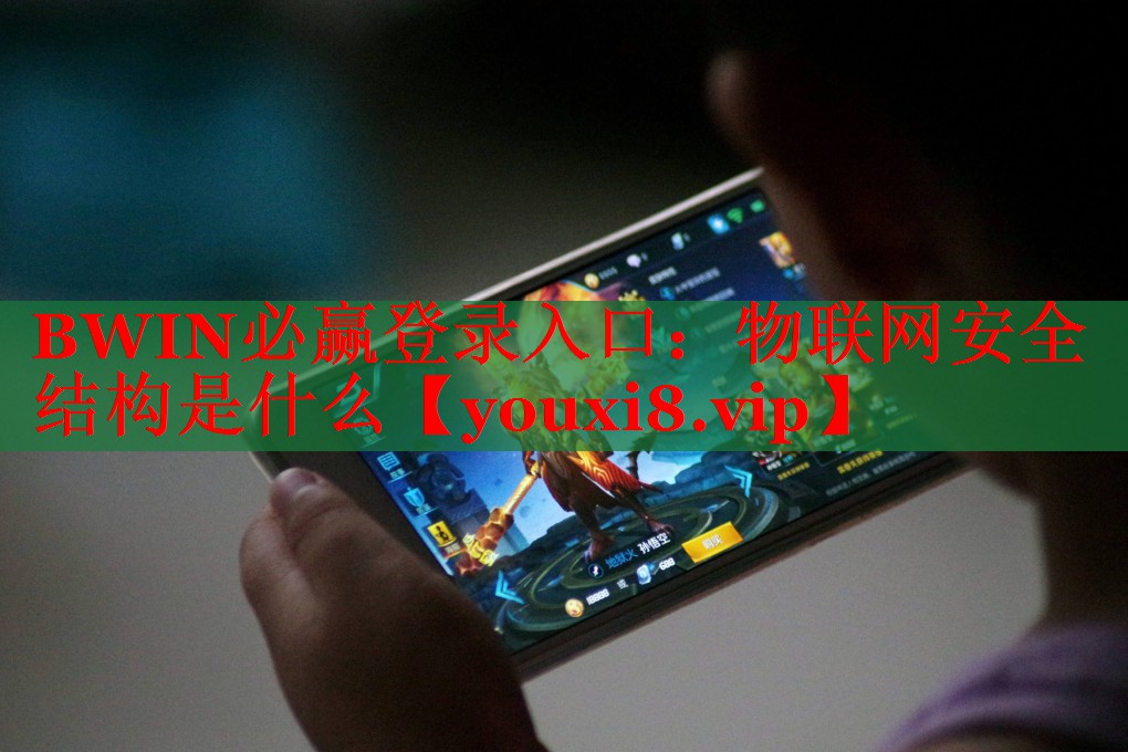 物聯(lián)網(wǎng)安全結(jié)構(gòu)是什么