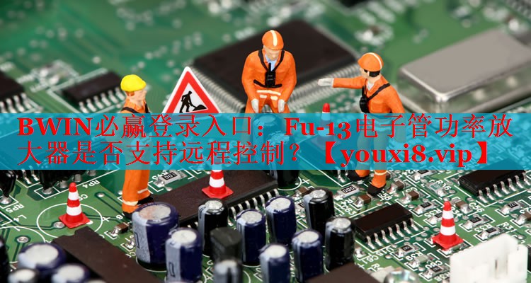 Fu-13電子管功率放大器是否支持遠(yuǎn)程控制？