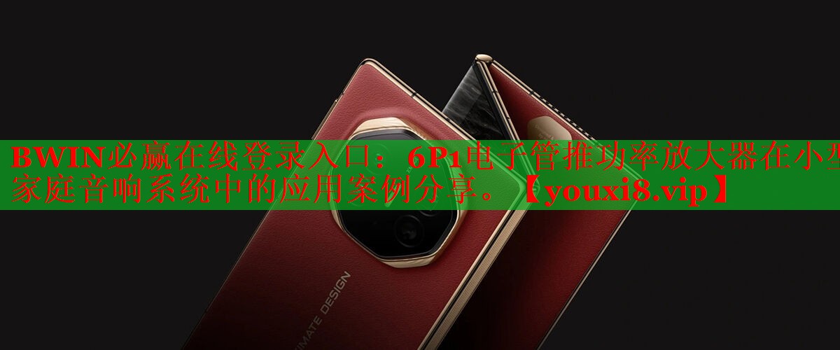 6P1電子管推功率放大器在小型家庭音響系統(tǒng)中的應(yīng)用案例分享。