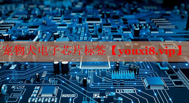 寵物犬電子芯片標(biāo)簽 寵物犬電子芯片標(biāo)簽