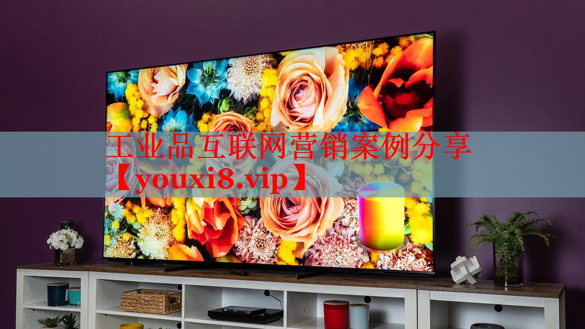 工業(yè)品互聯(lián)網(wǎng)營(yíng)銷案例分享 工業(yè)品互聯(lián)網(wǎng)營(yíng)銷案例分享