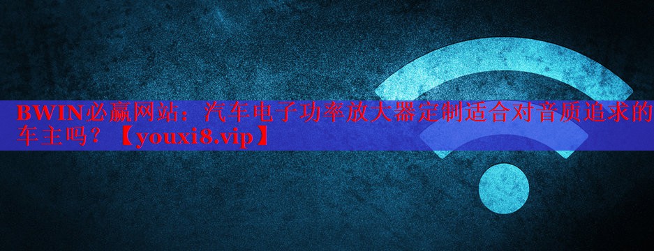 汽車電子功率放大器定制適合對音質(zhì)追求的車主嗎？