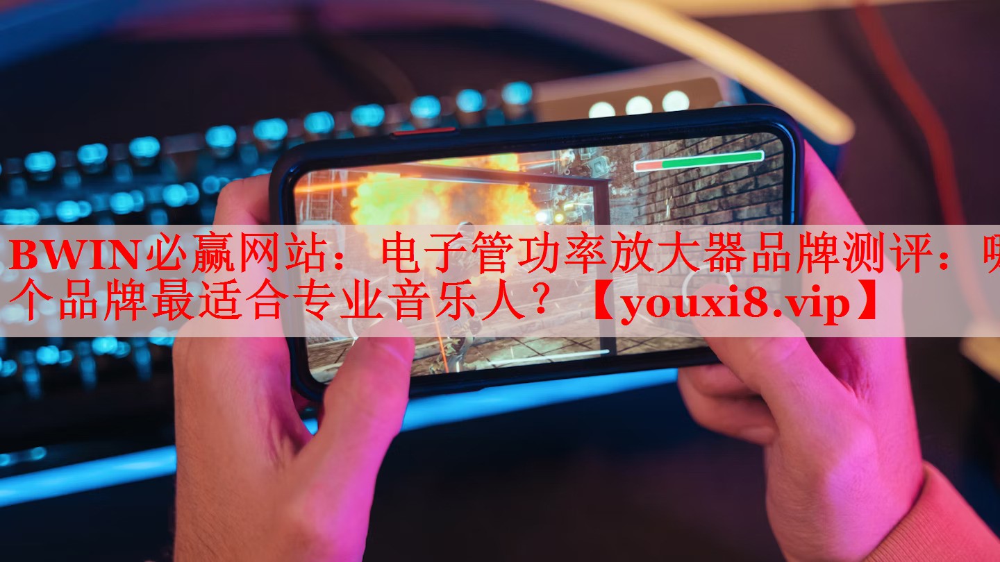 電子管功率放大器品牌測評：哪個品牌最適合專業(yè)音樂人？