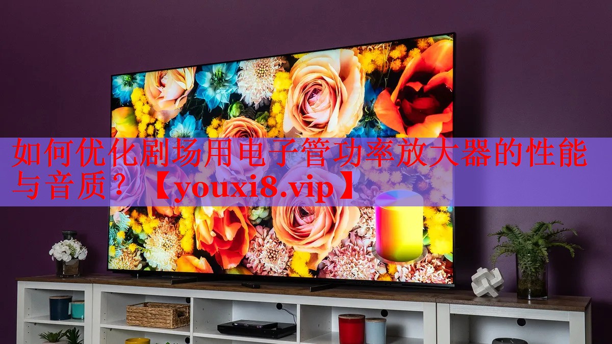 如何優(yōu)化劇場(chǎng)用電子管功率放大器的性能與音質(zhì)？