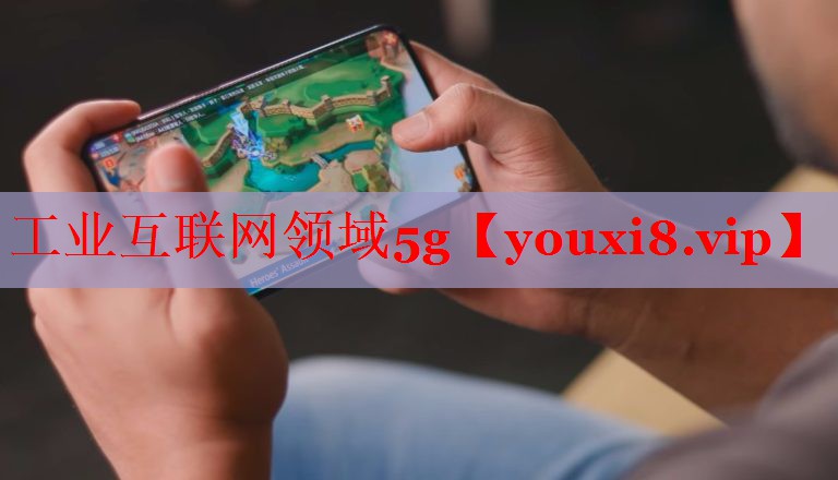 工業(yè)互聯(lián)網(wǎng)領域5g 工業(yè)互聯(lián)網(wǎng)領域5g