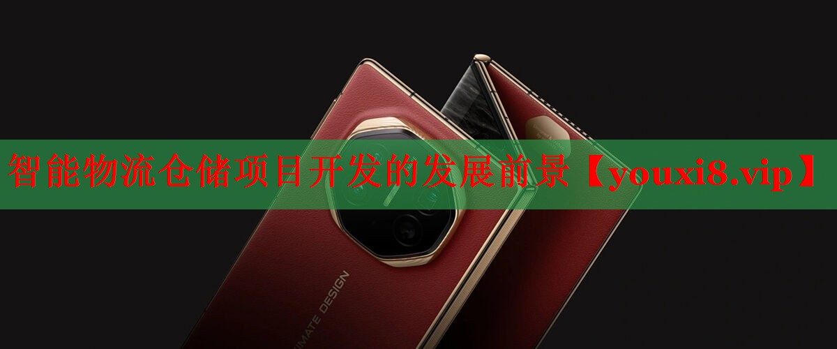 智能物流倉儲項目開發(fā)的發(fā)展前景 智能物流倉儲項目開發(fā)的發(fā)展前景