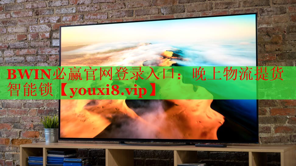 晚上物流提貨智能鎖 晚上物流提貨智能鎖