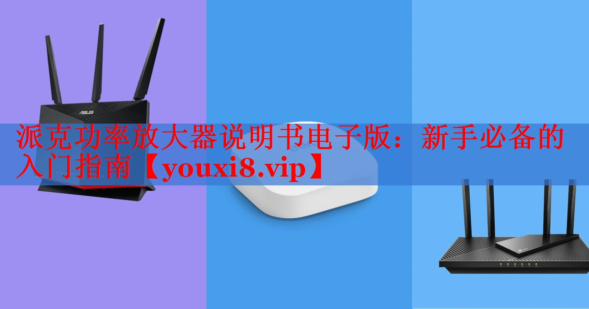 派克功率放大器說明書電子版：新手必備的入門指南