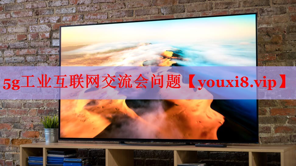 5g工業(yè)互聯(lián)網(wǎng)交流會問題 5g工業(yè)互聯(lián)網(wǎng)交流會問題