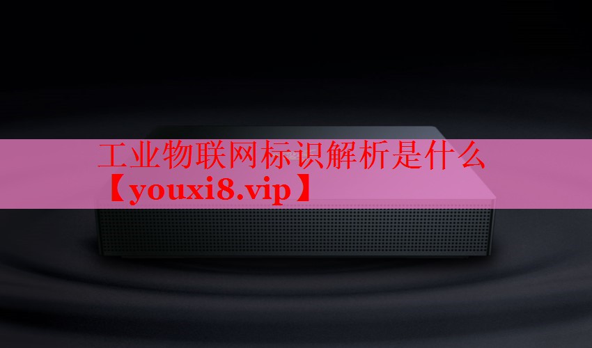 工業(yè)物聯(lián)網標識解析是什么 工業(yè)物聯(lián)網標識解析是什么