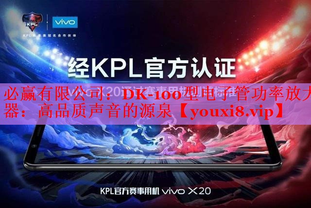 DK-100型電子管功率放大器:高品質聲音的源泉 DK-100型電子管功率放大器:高品質聲音的源泉