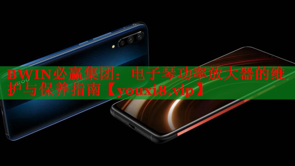 電子琴功率放大器的維護(hù)與保養(yǎng)指南 電子琴功率放大器的維護(hù)與保養(yǎng)指南