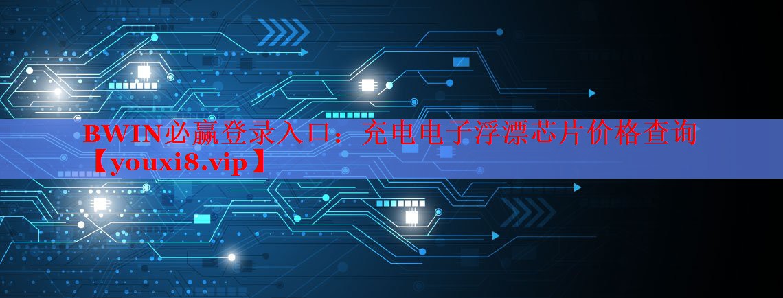 充電電子浮漂芯片價格查詢 充電電子浮漂芯片價格查詢