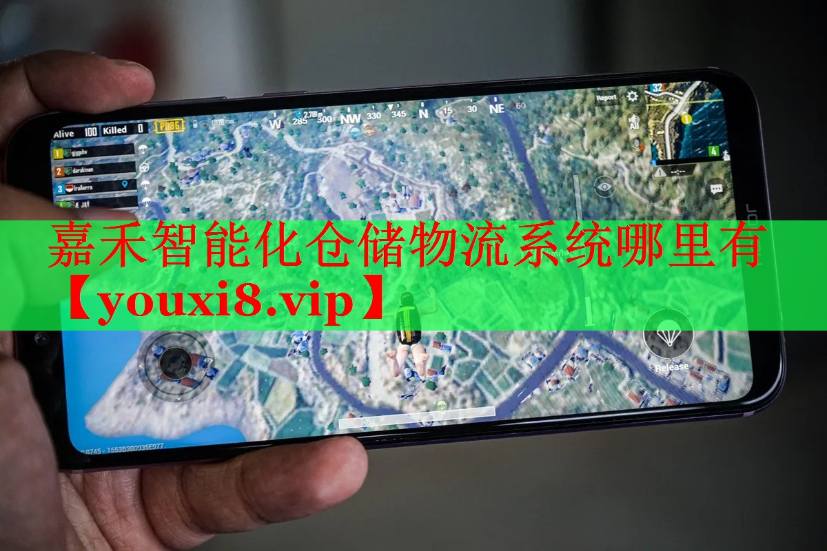嘉禾智能化倉(cāng)儲(chǔ)物流系統(tǒng)哪里有 嘉禾智能化倉(cāng)儲(chǔ)物流系統(tǒng)哪里有
